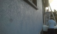 /album/galleria-foto-crepis/a164898-340279746104697-1438644202-n-jpg/