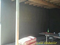 /album/galleria-foto-crepis/a198356-157952164337457-1233365024-n-jpg/