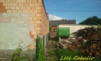 /album/galleria-foto-crepis/a250677-164609447005062-1729456371-n-jpg/
