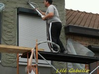 /album/galleria-foto-crepis/a486972-157957637670243-1667783920-n-jpg/