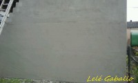 /album/galleria-foto-crepis/a538593-167988226667184-1004342732-n-jpg/