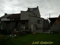/album/galleria-foto-crepis/a547754-160088040790536-1440070689-n-jpg/