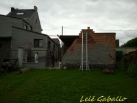 /album/galleria-foto-crepis/a552847-160088277457179-424954611-n-jpg/