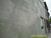 /album/galleria-foto-crepis/a556131-157960301003310-1395443387-n-jpg/
