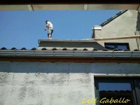 /album/galleria-foto-crepis/a575265-157945267671480-1724058082-n-jpg/
