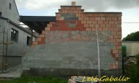 /album/galleria-foto-crepis/a581134-167986046667402-1374268458-n-jpg/